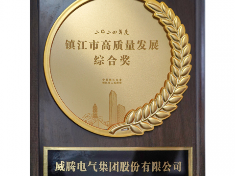 喜讯│bti体育荣获2024年度镇江市高质量发展综合奖